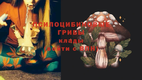 амфетамин Алексеевка