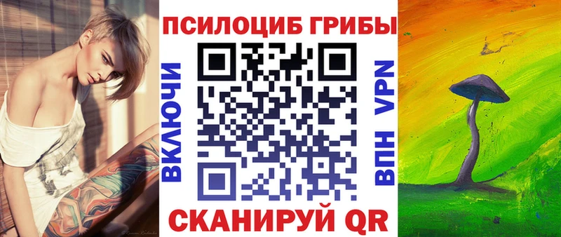 Псилоцибиновые грибы прущие грибы  что такое   kraken ССЫЛКА  Пучеж 